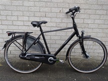Batavus Wayz