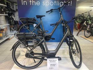 Pegasus Siena E7 Bosch Smart