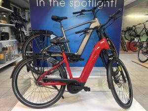 Pegasus Ravenna Evo 7 Belt jubileum editie