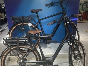 Pegasus Siena E7F Belt Disc Matt Black